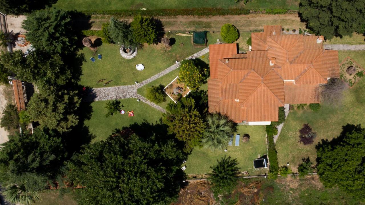 Villa Palmera Ierissos Extérieur photo
