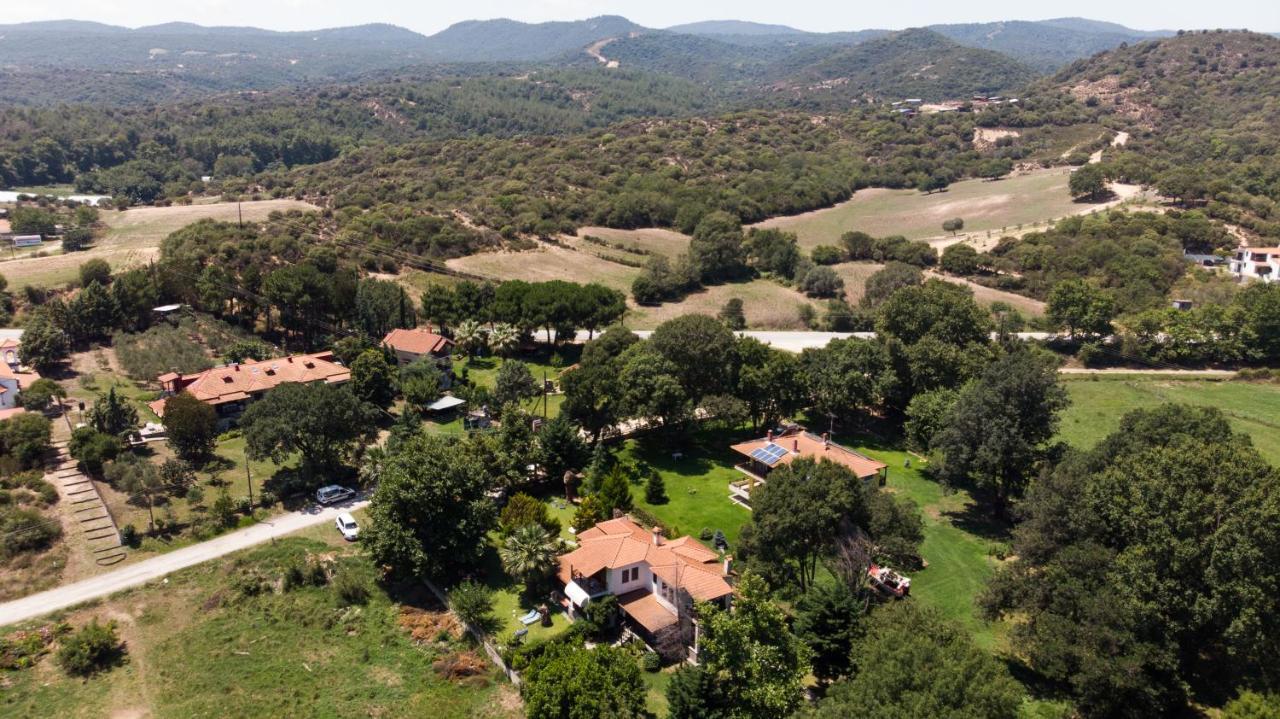 Villa Palmera Ierissos Extérieur photo